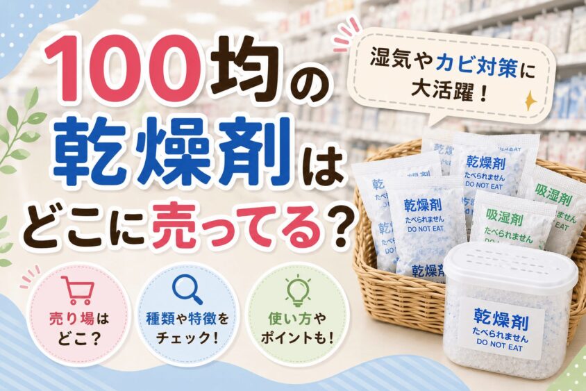 100均の靴用乾燥剤はどこに売ってる？ダイソーやセリアの取扱状況を大公開